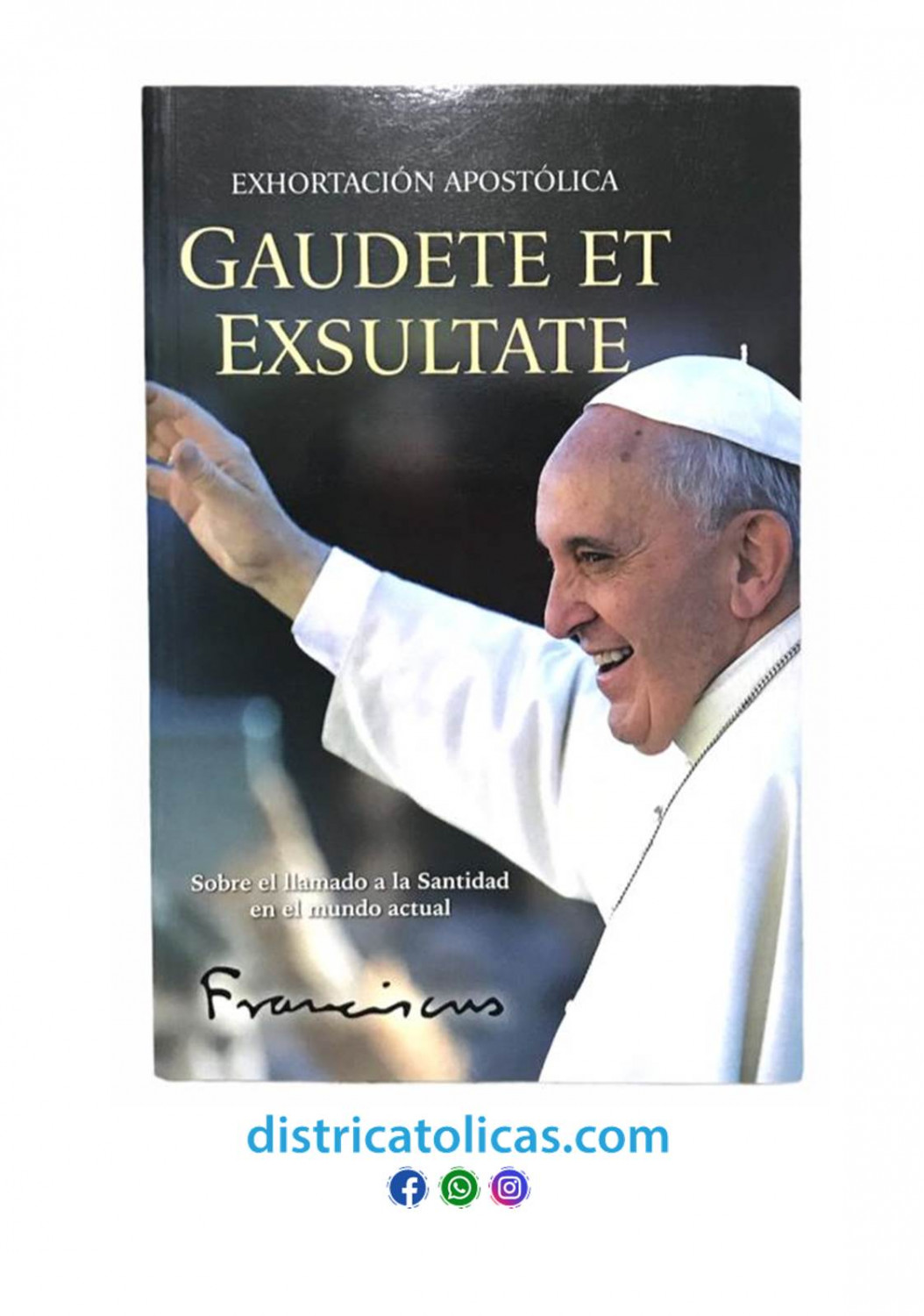 Exhortación Apostólica Gaudete Et Exsultate